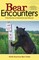Bear Encounters
