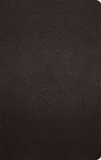 ESV Thinline Bible (Buffalo Leather, Deep Brown)