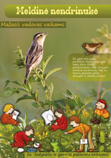 Meldinė nendrinukė. Mažasis vadovas vaikams