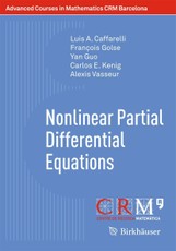 Nonlinear Partial Differential Equations