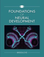 Foundations of Neural Development