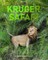 Kruger Safari