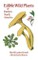 Edible Wild Plants of Eastern North America