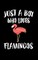 Just A Boy Who Loves Flamingos