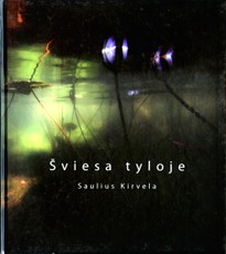 Šviesa tyloje