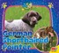 German Shorthaired Pointer