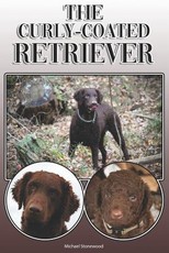 The Curly-Coated Retriever