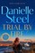 Steel, D: Trial by Fire