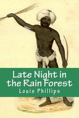 Late Night in the Rain Forest