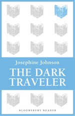 The Dark Traveler