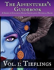 The Adventure's Guidebook