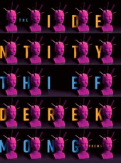 Identity Thief