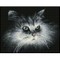 Deimantinė mozaika SHADOW CAT 25x32