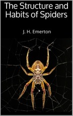 The Structure and Habits of Spiders