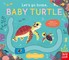 Let's Go Home, Baby Turtle