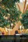 Healthy Environments, Healing Spaces