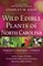 Advanced Herbal Medicine