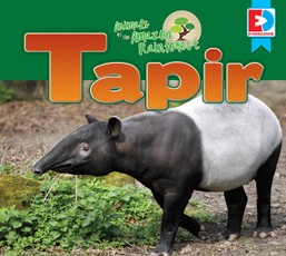 Animals of the Amazon Rainforest: Tapir
