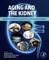 Aging and the Kidney