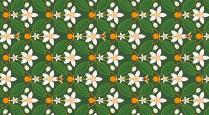 Atvirukas SKAISTUMAS IR TYRUMAS