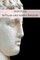 Aristotle in Plain and Simple English