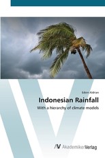 Indonesian Rainfall
