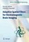 Adaptive Spatial Filters for Electromagnetic Brain Imaging
