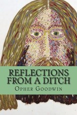 Reflections from a ditch