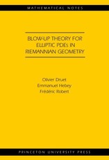 Blow-up Theory for Elliptic PDEs in Riemannian Geometry (MN-45)