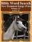 Bible Word Search New Testament Large Print Volume 32