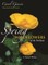 Spring Wildflowers of the Northeast