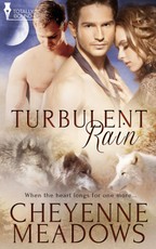 Turbulent Rain