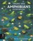 There Are Amphibians Everywhere