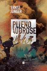Plieno audrose