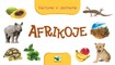 Afrikoje. Vartome ir deriname