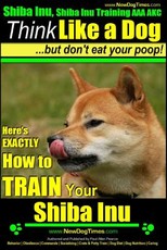 Shiba Inu, Shiba Inu Training AAA AKC