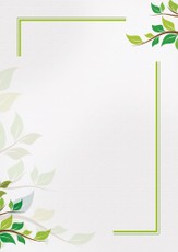 Popierius diplomams A4 170g 25l GREEN