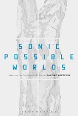 Sonic Possible Worlds