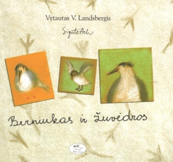 Berniukas ir žuvėdros Berniukas ir žuvėdros