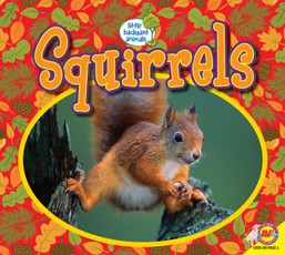 Squirrels