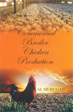 Commercial Broiler Chicken Production