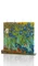 Žvakė FLATYZ „Vincent Van Gogh – Irises“