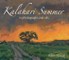 Kalahari Summer