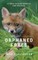 Orphaned Foxes