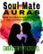 Soul Mate Auras (el. knyga)
