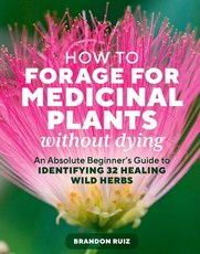 How to Forage for Medicinal Plants Without Dying