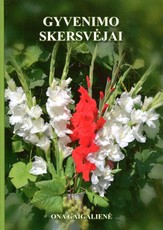 Gyvenimo skersvėjai. Jaunų dienų apysakos