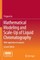 Mathematical Modeling and Scale-Up of Liquid Chromatography