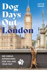 Dog Days Out