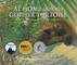 At Home with the Gopher Tortoise